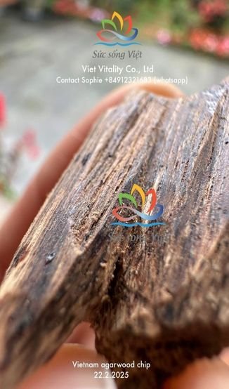 Viet Vitality Agarwood Products